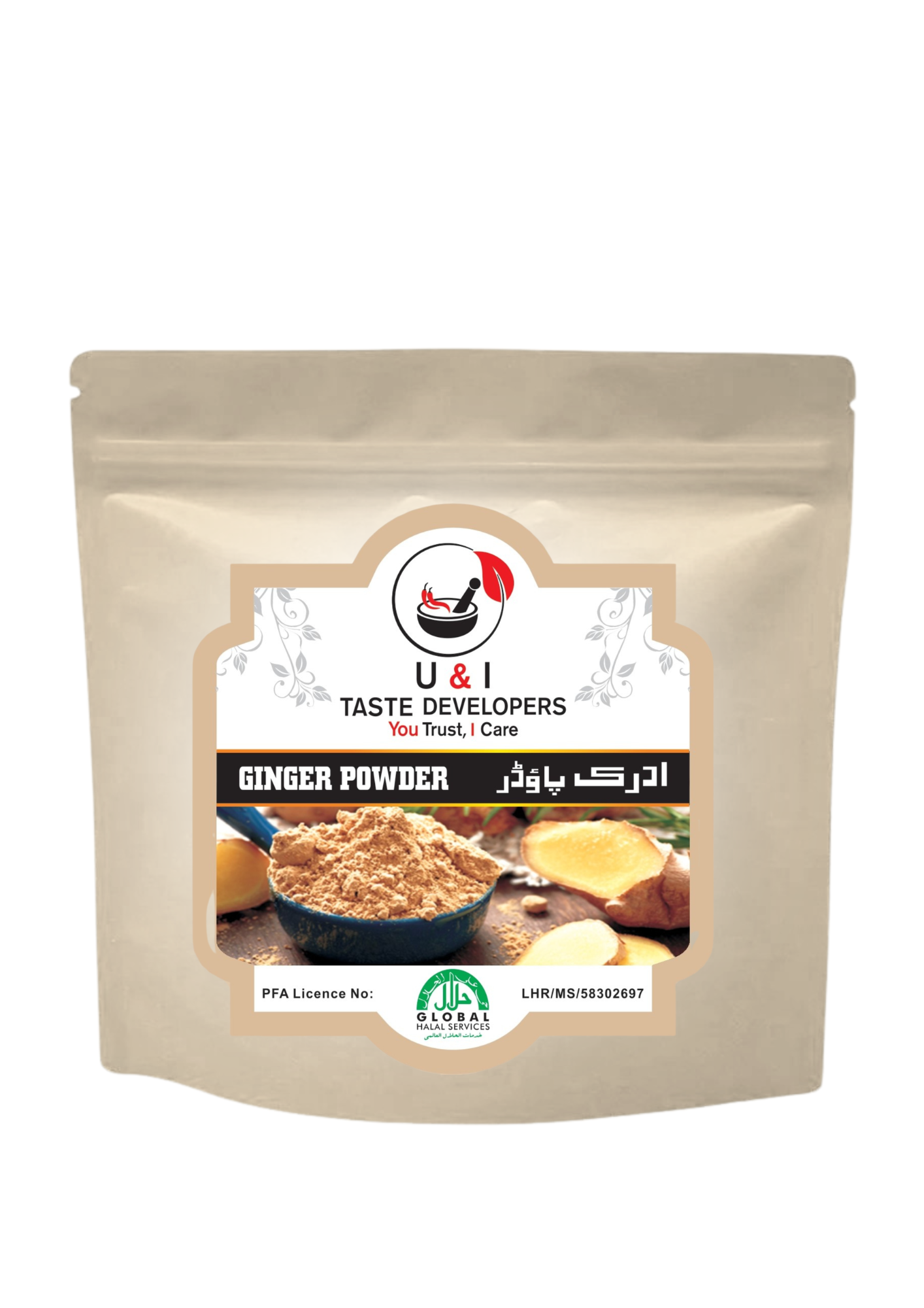 GINGER POWDER 100GRAM 